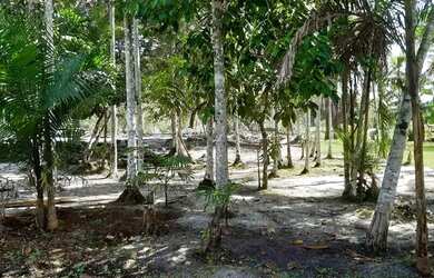 Imagem 8: Manaus Itacoatiara, AM 010 Km 32, Ramal Água Preta S/N