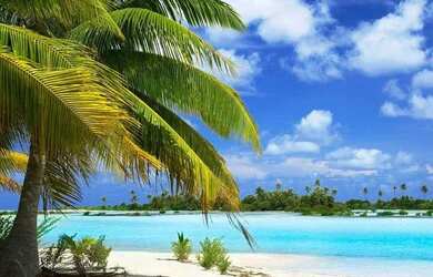 Imagem: A casa possui 3 Dormitórios, 2 Banheiros, 3 Vagas na garagem