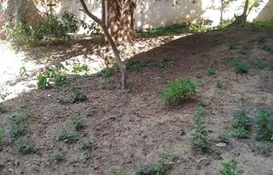 Imagem: A casa possui 4 Dormitórios, 3 Banheiros, 5 Vagas na garagem