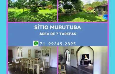 Imagem: A fazenda possui 120m² de Área e está localizado em Cachoeira