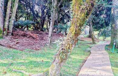 Imagem 15: TERRENO NO CONDOMINIO LAGOS DE GRAMADO