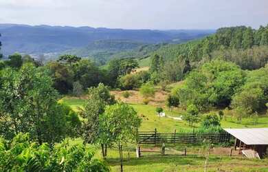 Imagem 14: Sítio / Chácara para Venda em Nova Petrópolis, Linha Olinda, 3 dormitórios,...