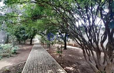 Imagem 9: Apartamento 3 quartos Bairro São Francisco venda