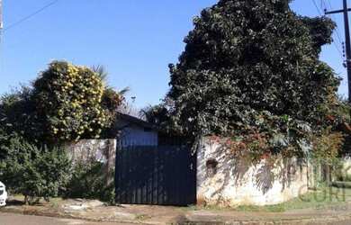 Imagem 2: Terreno à venda, 317 m² por R$ 290.000 - Armindo Guazzi - Londrina/PR