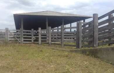 Imagem 2: R$70 milhões Fazenda 850 alqueires no Pará documentada