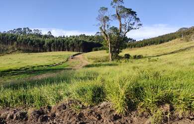 Imagem 8: Vendo meu lote em Nazaré Paulista