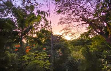Imagem 4: Aldeia casa linda com 3 terrenos , possuindo jardim maravilhoso e piscina