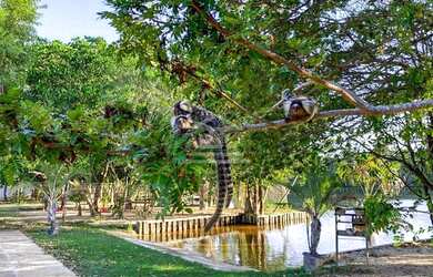 Imagem 7: Casa de Condomínio 140m² em Barreirinhas Nascente e Porcelanato 03 Quartos MKT**04*TR11152