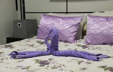 Imagem 7: Casa para locação no período do festival de inverno de garanhuns 2022