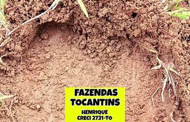 Imagem 5: Fazenda Araguacema. 145.200m² de Área