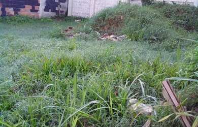 Imagem: O terreno possui 65m² de Área e está localizado em Galo