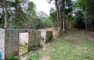 Imagem 4: Chacrinha oportunidade única 800 mts do asfalto 3900