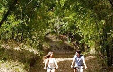 Imagem 12: Vendo Primeira Etapa 532 m2 Terreno da fazenda Real - SM