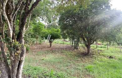 Imagem 3: sítio - Área Rural de Mogi Guaçu - Mogi Guaçu