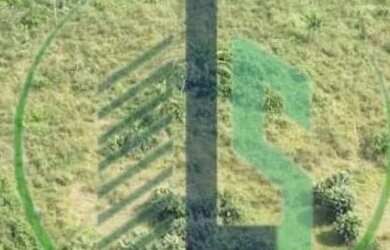 Imagem: A fazenda possui 1227000m² de Área e está localizado em Paraviana