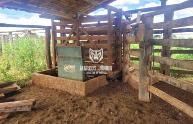 Imagem 8: FAZENDA FORMADA NA REGIÃO DE JANAUBA E CAPITÃO ENEIAS MG PARA PECUARIA...