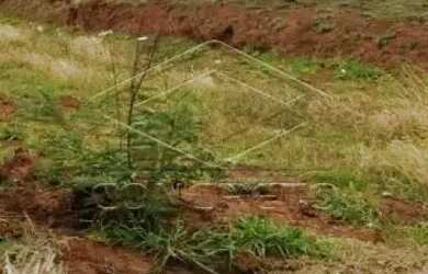 Imagem 1: Terreno Padrão em Jaú. 12m² de Área