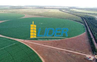 Imagem 2: Excepcional fazenda com 987 hectares sendo 725 hectares de plantio à...