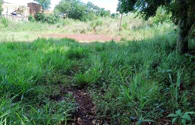 Imagem 2: Vendo terreno. 4.500m² de Área