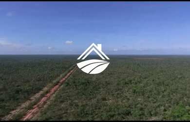 Imagem: A fazenda possui 1m² de Área e está localizado em Centro