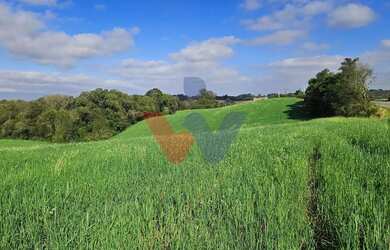 Imagem 7: Chácara 20.000m em Araucária Frente Asfalto, Vista Linda e Zona de Expansão...