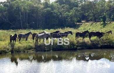 Imagem: A fazenda possui 3049200m² de Área e está localizado em Porangatu