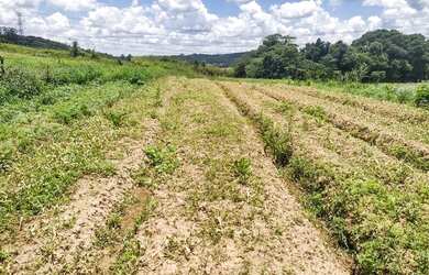 Imagem 4: Lote/Terreno para venda tem 500 metros quadrados em Jardim São Pedro...