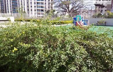 Imagem 2: Apartamentos para alugar em Jundiaí/SP - Alugue o seu apartamentos aqui