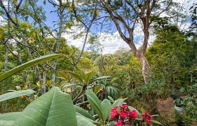Imagem 5: Aldeia casa linda com 3 terrenos , possuindo jardim maravilhoso e piscina