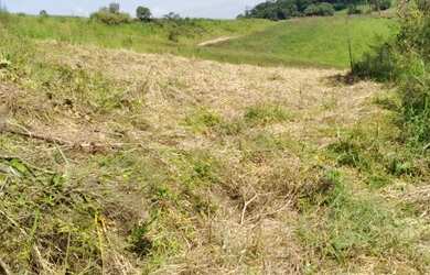 Imagem 2: Lote/Terreno para venda tem 500 metros quadrados em Jardim São Pedro...