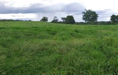 Imagem: A fazenda possui 319.000m² de Área e está localizado em