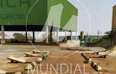 Imagem 2: Salão/Galpão (salão - térreo