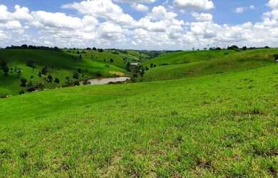 Imagem 8: Oportunidade Fazenda em São Felipe, 375 Tarefas, rio margeando, Porteira...