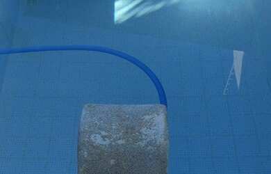 Imagem 7: Excelente Casa na Freguesia