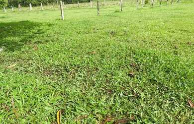 Imagem: O terreno possui 600m² de Área e está localizado em Centro