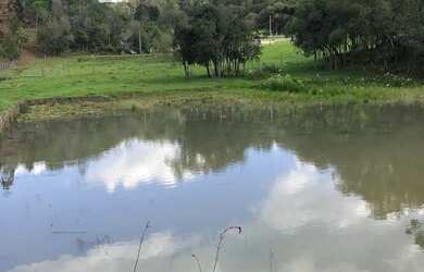 Imagem 6: Vendo chácara de 3,6 hectares na localidade da boca da serra
