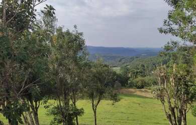 Imagem 15: Sítio / Chácara para Venda em Nova Petrópolis, Linha Olinda, 3 dormitórios,...