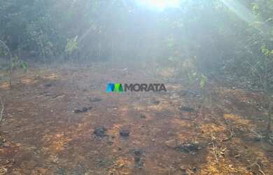 Imagem 4: FAZENDA À VENDA - 193 HECTARES - INIMUTABA MG