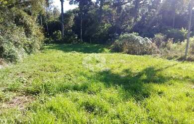 Imagem 4: Amplo terreno à venda em bairro residencial