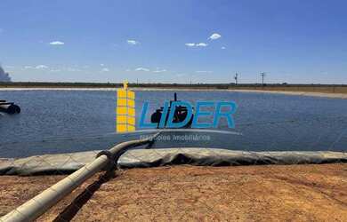 Imagem 8: Excepcional fazenda com 987 hectares sendo 725 hectares de plantio à...