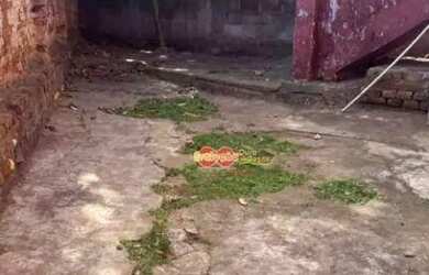 Imagem 4: Salão Comercial / Centro