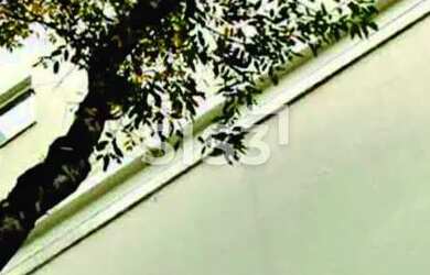 Imagem 13: Casa à venda no São Lourenço 3 suítes, 3 vagas ao lado do parque São...