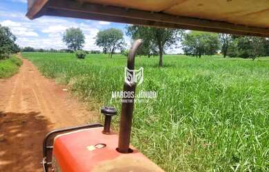 Imagem 4: FAZENDA FORMADA NA REGIÃO DE JANAUBA E CAPITÃO ENEIAS MG PARA PECUARIA...