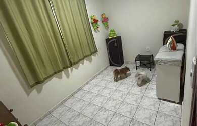 Imagem 6: Vende-se casa na cidade nova5. Lv