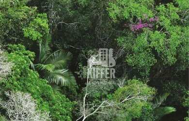 Imagem 9: Fazenda em Santa Maria Madalena 7.421 Hectares no Bioma Mata Atlântica...