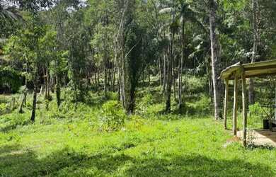 Imagem: A chácara possui 1.000m² de Área e está localizado em Pinheiros