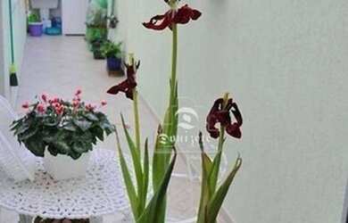 Imagem 14: Apartamento à venda, 100 m² por R$ 578.000,00 - Vila Gilda - Santo André/SP