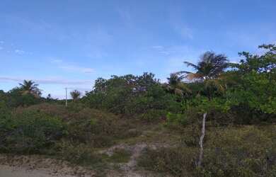 Imagem 3: Atins (Venda de terrenos