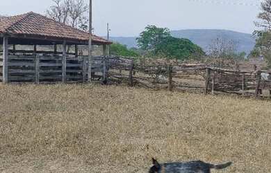 Imagem 3: Vendo fazenda com 1.169 hectaresem Buritis-MG