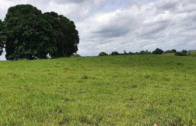 Imagem 2: Oportunidade Fazenda em São Felipe, 375 Tarefas, rio margeando, Porteira...